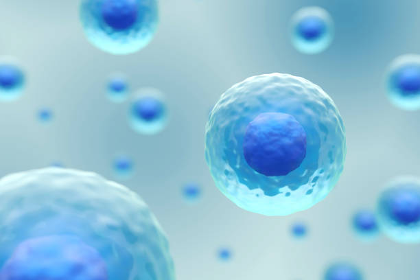 stem cell therapy