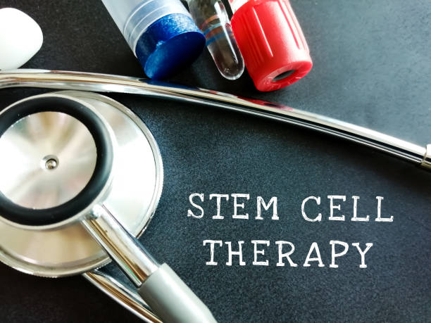 Stem Cell Therapy: Why Is It Used In Holistic Healing?