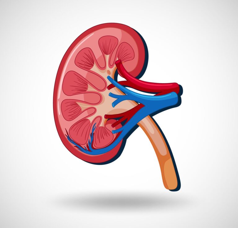 Living with Kidney Disease: 5 Things to Consider