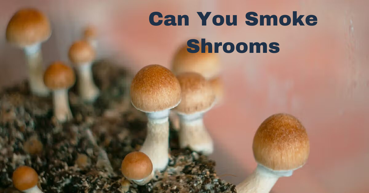 Can You Smoke Shrooms