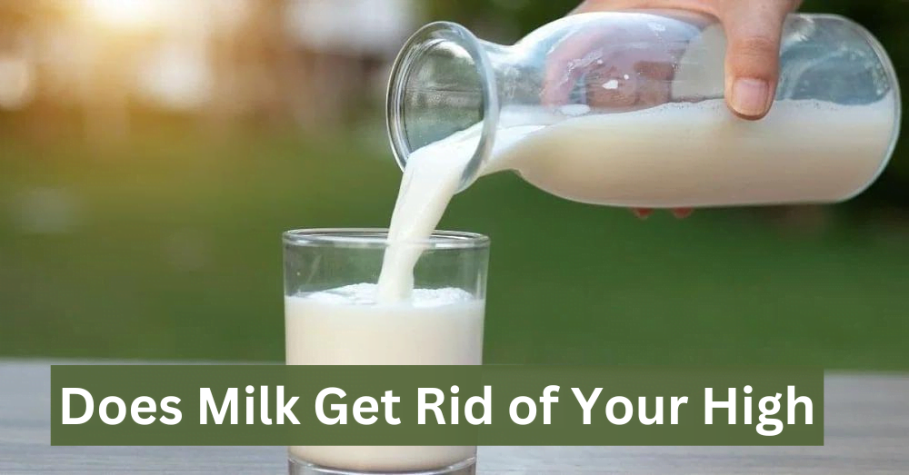 Does Milk Get Rid of Your High